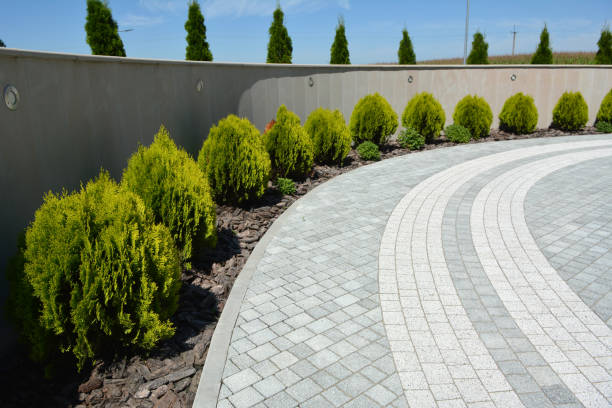 Best Driveway Paving Near Me  in North Zanesville, OH